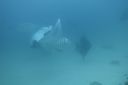 DSC00265.JPG
