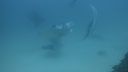 DSC00267.JPG