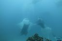 DSC00268.JPG