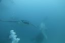 DSC00275.JPG