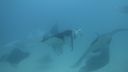 DSC00279.JPG