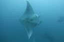 DSC00294.JPG