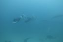DSC00296.JPG