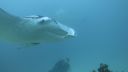 DSC00316.JPG