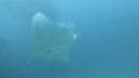 DSC00322.JPG
