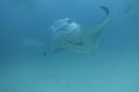 DSC00332.JPG