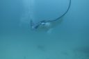 DSC00333.JPG