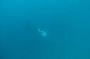 DSC00339.JPG