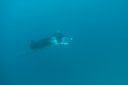 DSC00342.JPG