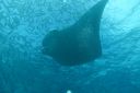 DSC00345.JPG