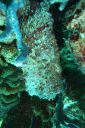DSC00346.JPG