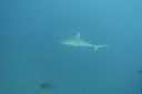 DSC00349.JPG