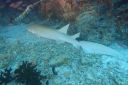 DSC00355.JPG