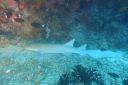 DSC00356.JPG