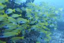 DSC00357.JPG