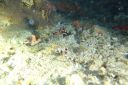DSC00364.JPG