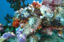 DSC00375.JPG