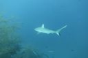 DSC00376.JPG
