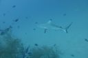 DSC00379.JPG