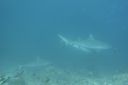 DSC00399.JPG