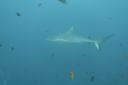 DSC00400.JPG