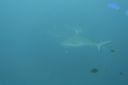 DSC00405.JPG