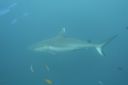 DSC00407.JPG