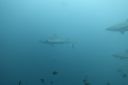 DSC00413.JPG
