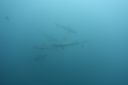 DSC00426.JPG