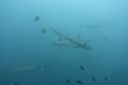 DSC00428.JPG