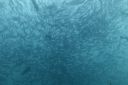 DSC00454.JPG