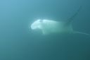 DSC00470.JPG