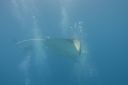 DSC00485.JPG