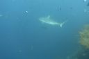 DSC00498.JPG