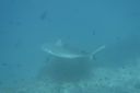 DSC00521.JPG