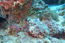 DSC00583.JPG