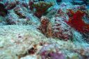 DSC00585.JPG