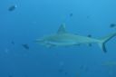 DSC00587.JPG