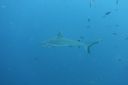 DSC00589.JPG
