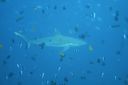 DSC00592.JPG