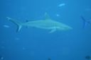 DSC00604.JPG