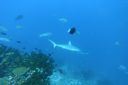 DSC00625.JPG