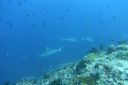 DSC00634.JPG