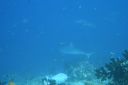DSC00636.JPG