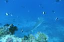 DSC00641.JPG