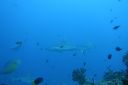 DSC00673.JPG