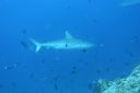 DSC00674.JPG