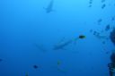 DSC00679.JPG