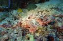 DSC00686.JPG