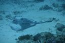 DSC00698.JPG